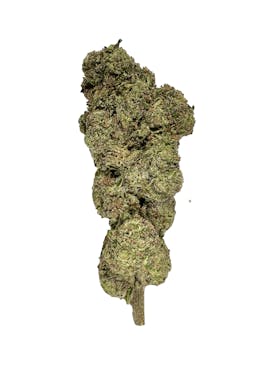 Rainbow Runtz $100oz - Indico