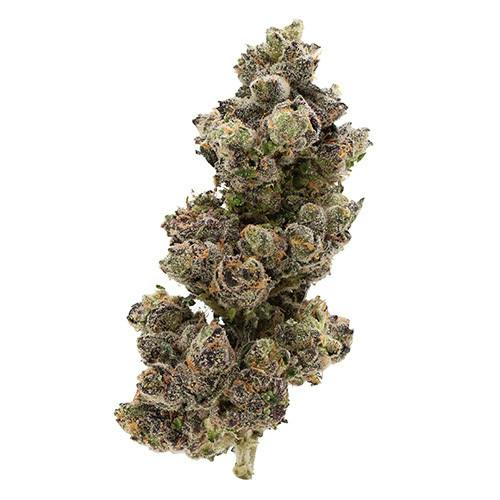 Billo | Billo Sherb | Flower | 1G
