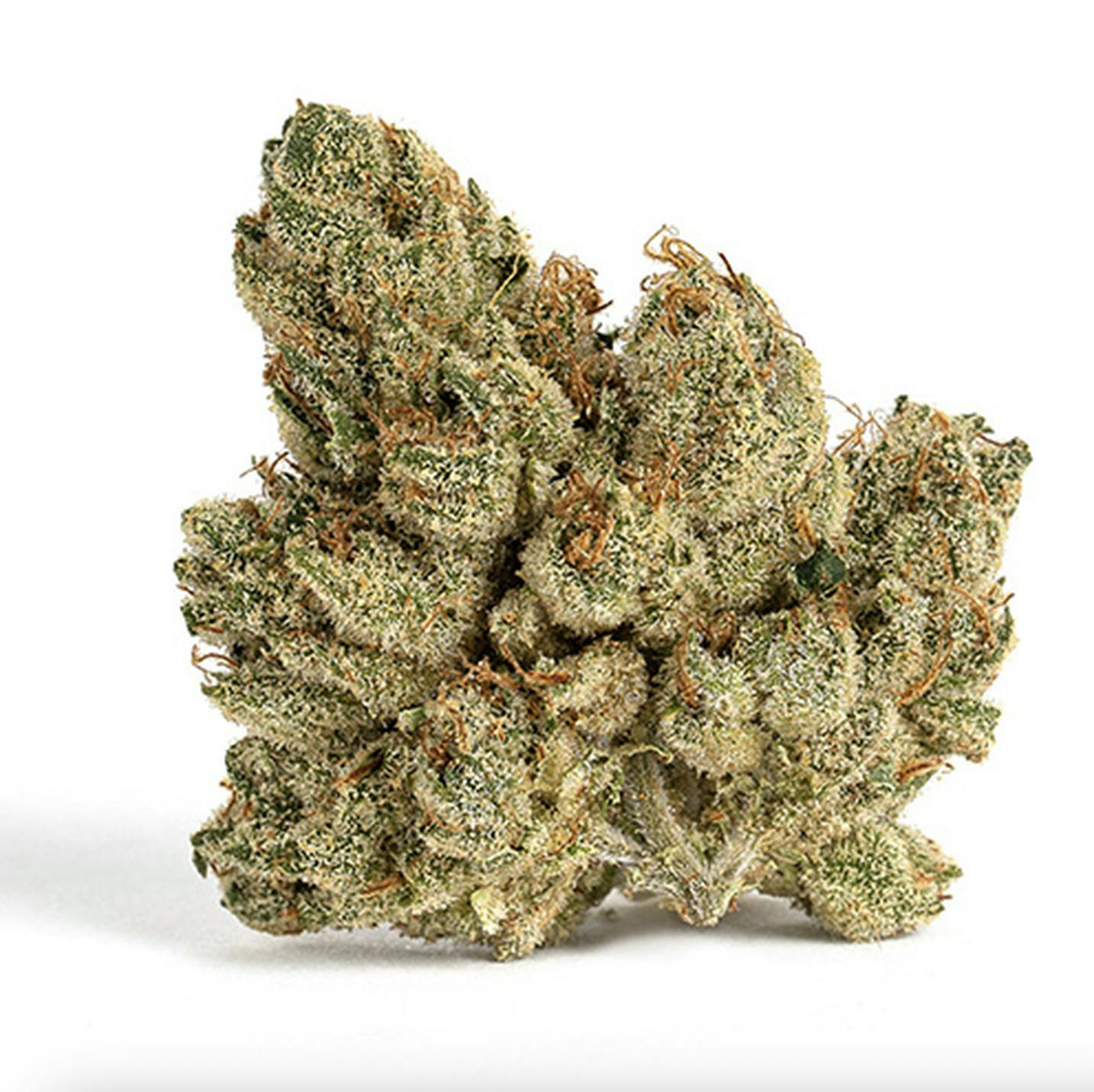 Billo | Crescendo Sour Cookies | Flower | 1G