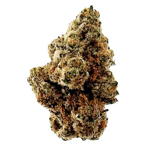 Billo | Josh D | Flower | 7G - Billo