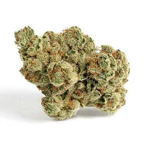 Billo | MR.Nasty | Flower | 1G