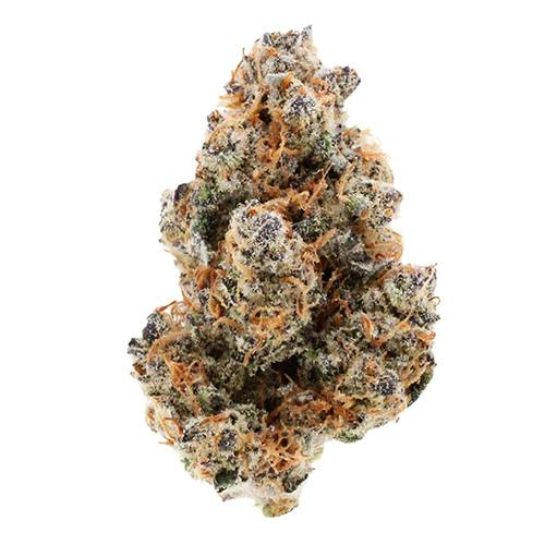 Billo | Blue Scream | Flower | 28G