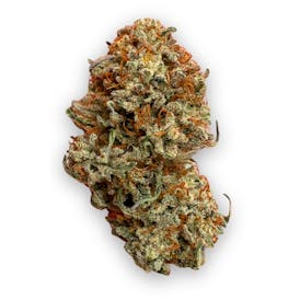 Pxddy Mouth Flower