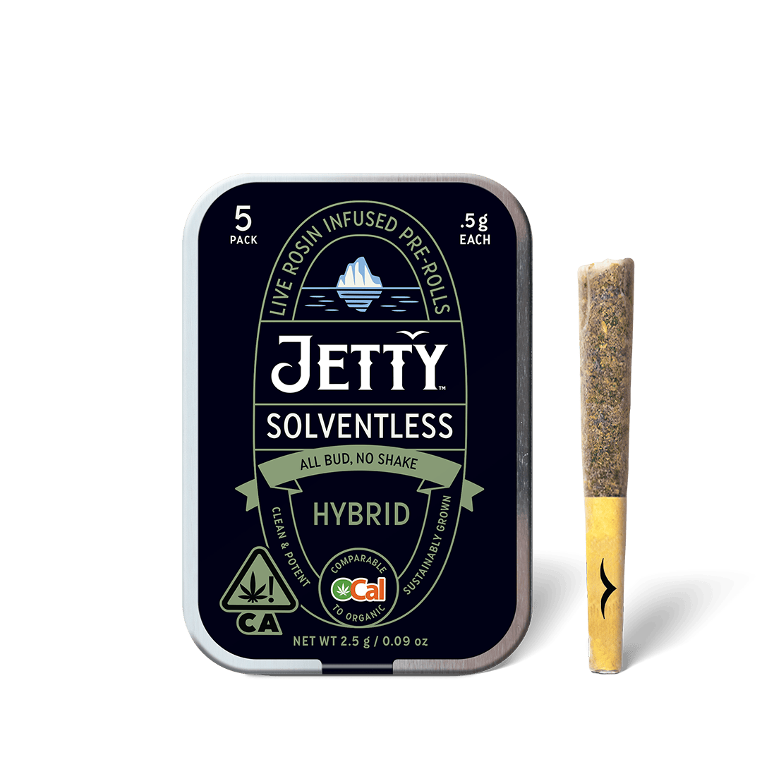 Jetty Extracts: Governmint Oasis