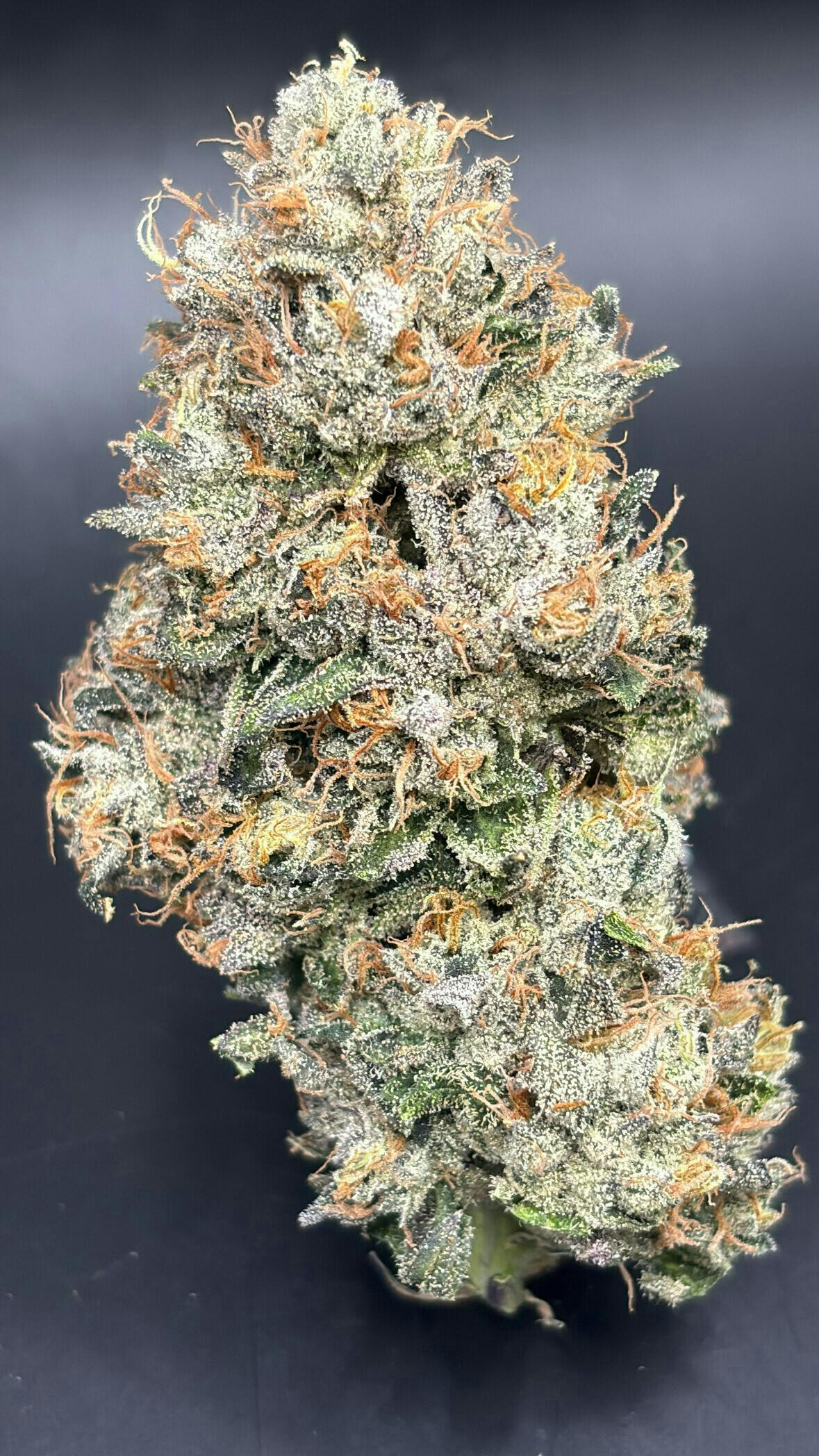CRYSTAL COLLECTION: Pink Runtz