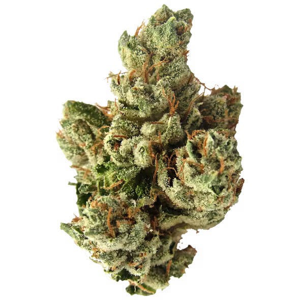 Original Intelligence: SFV OG