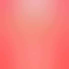 2X Peaches - 3.5g Prepack Flower