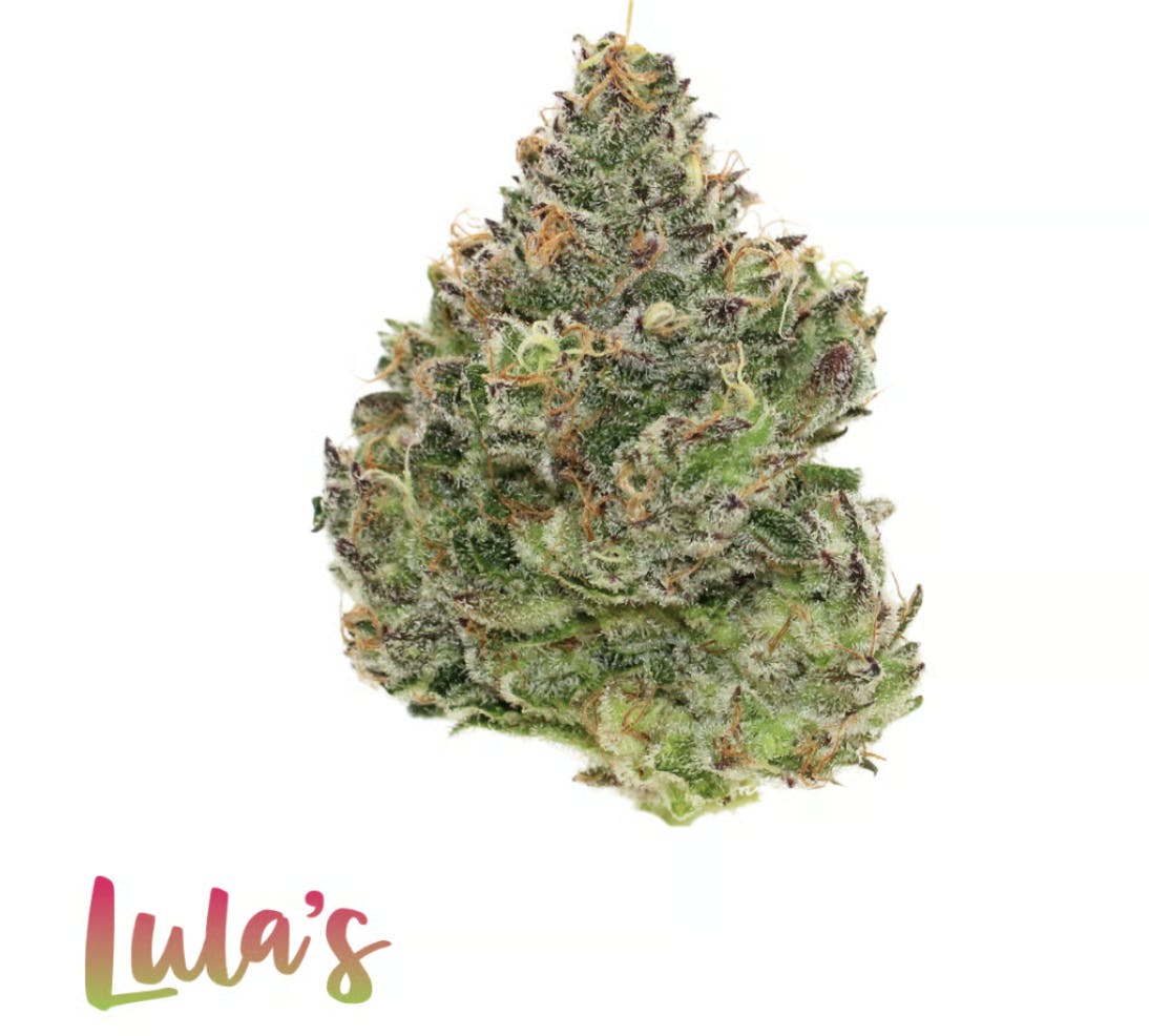 Lula's | Sirius B | Smalls | 7G by Lula's