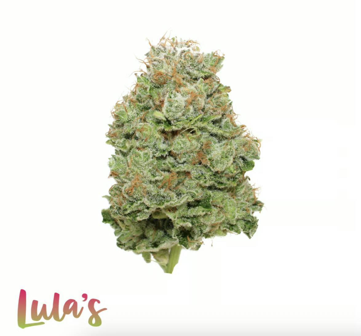 Lula's | Lou's Legacy | Smalls | 7G by Lula's