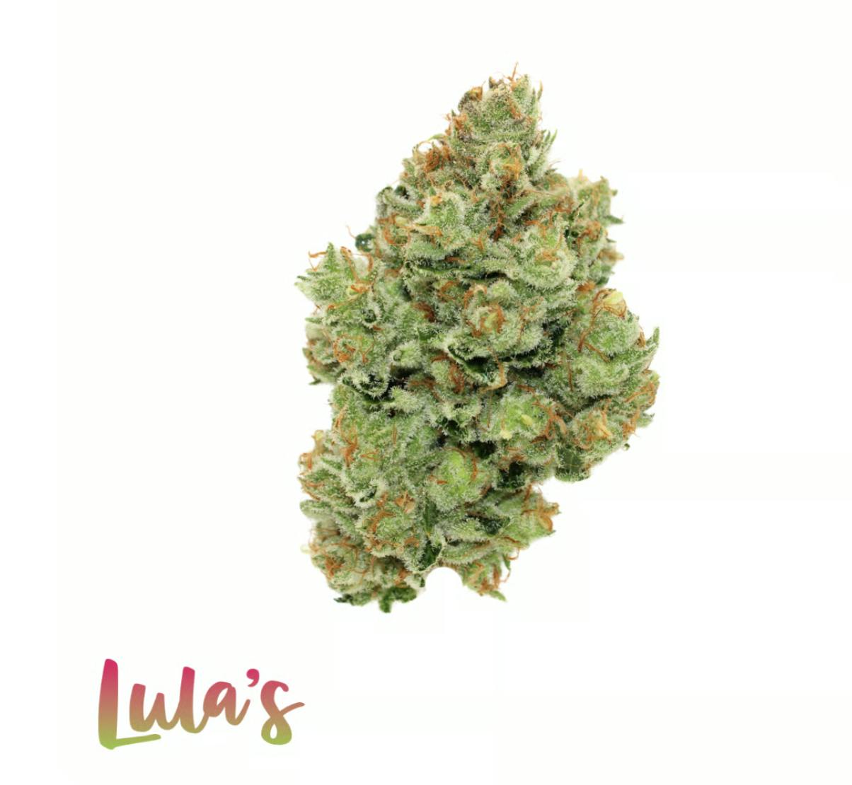Lula's | Escape | Smalls | 14G by Lula's