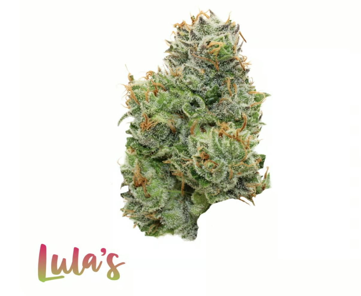 Lula's | Tahitian Flight | Smalls | 14G by Lula's