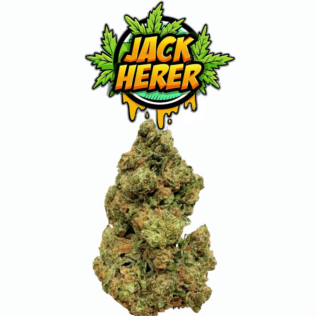 Jack Herer | Sun Grown Flower | Limited Drop | 3.5g | Eighth