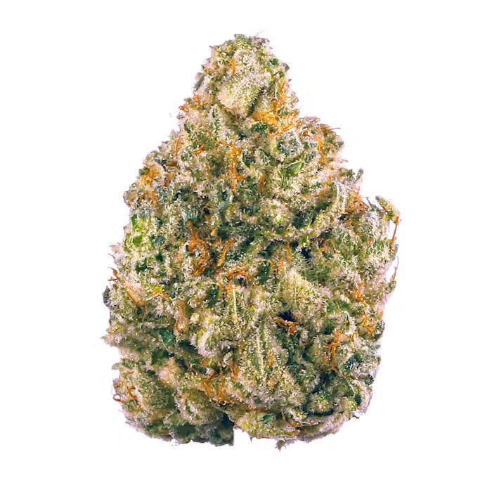 Gelato Grape Pie (Indica)