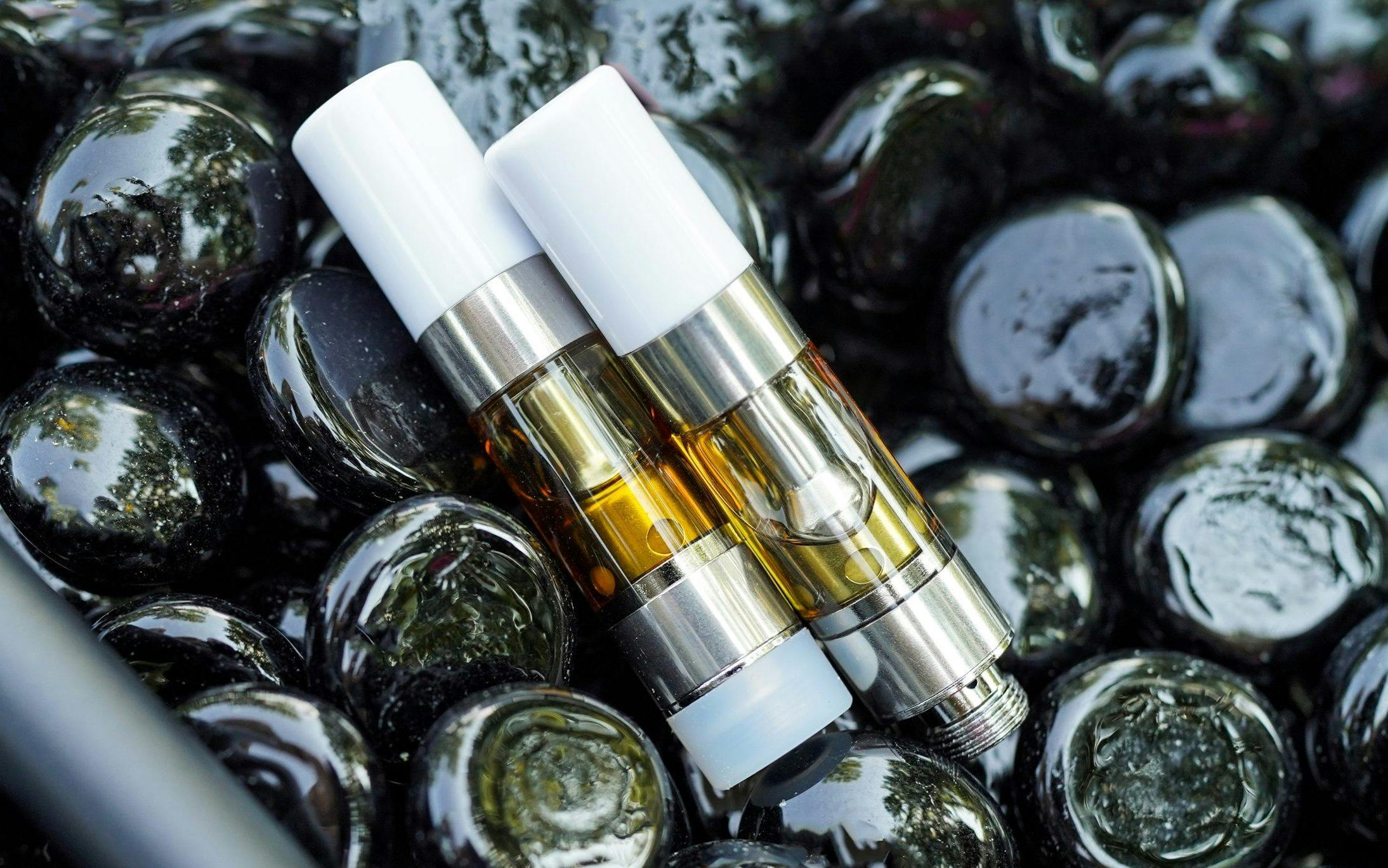 Sinse | Gelato 41 | Live Sauce Cartridges | 1G by Sinse Cannabis