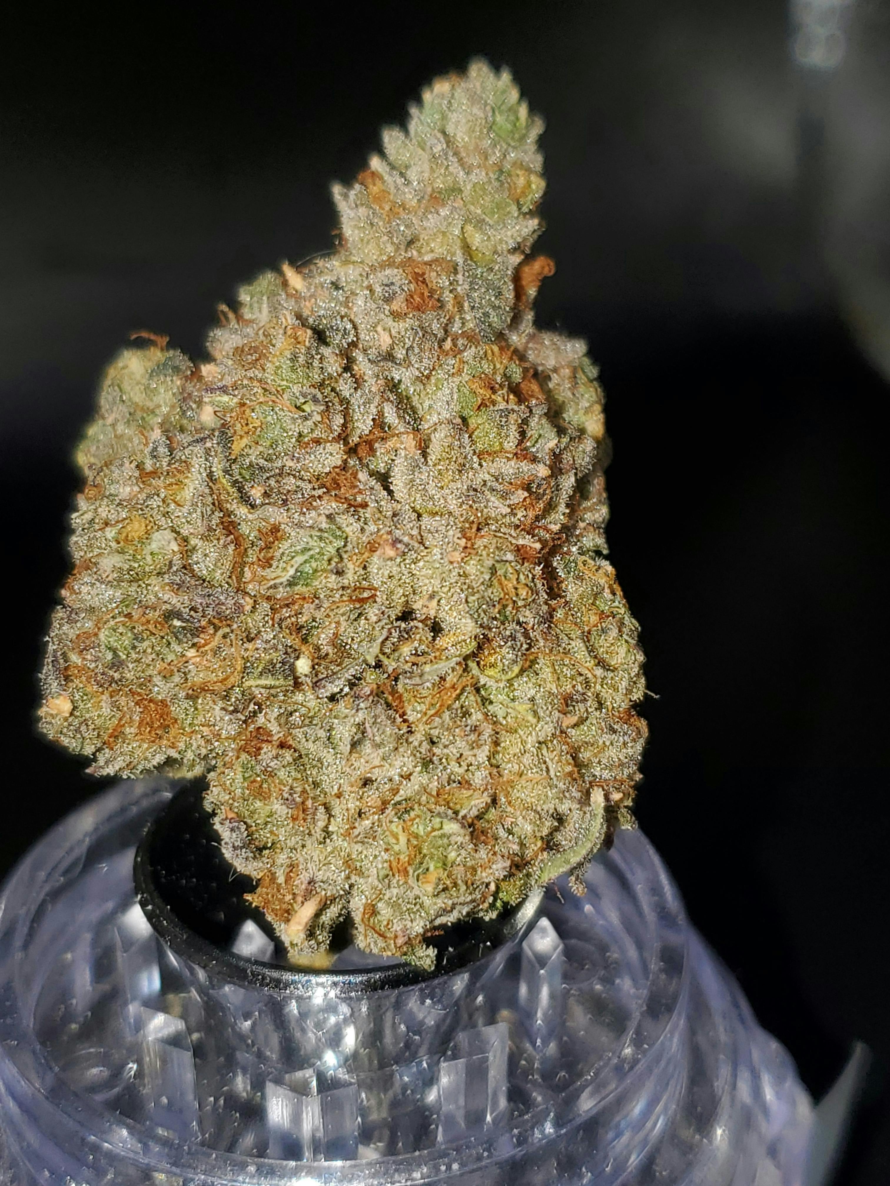 Pineapple Punch - Flower - 3.5G