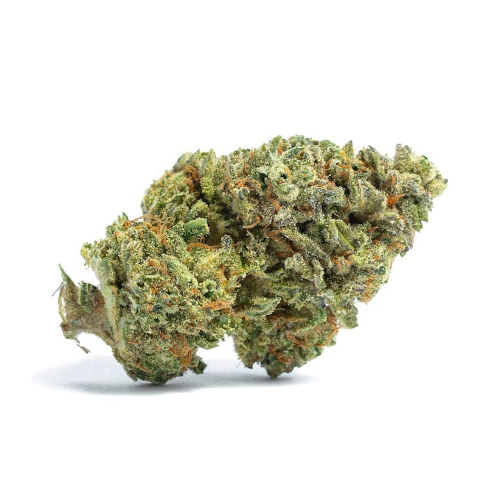 Golden Goat - Bulk Flower