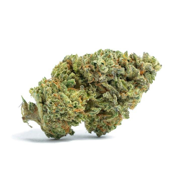 Golden Goat - 3.5g Flower