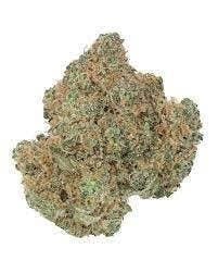 Full Send - Bulk Flower