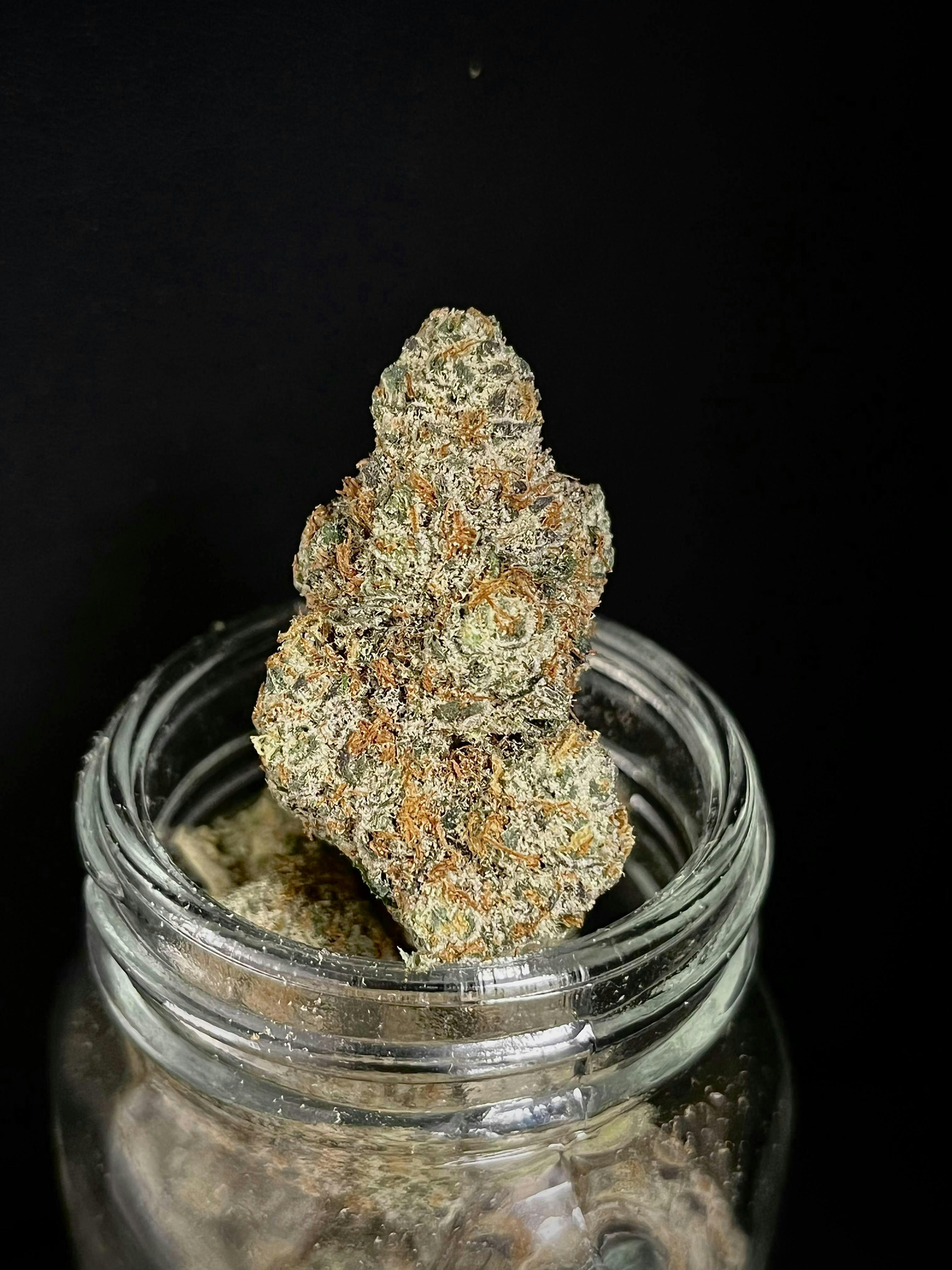 Agent Orange - 3.5g Flower by Bloom County