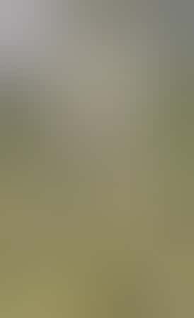 Juicy Fruit - 3.5g Flower