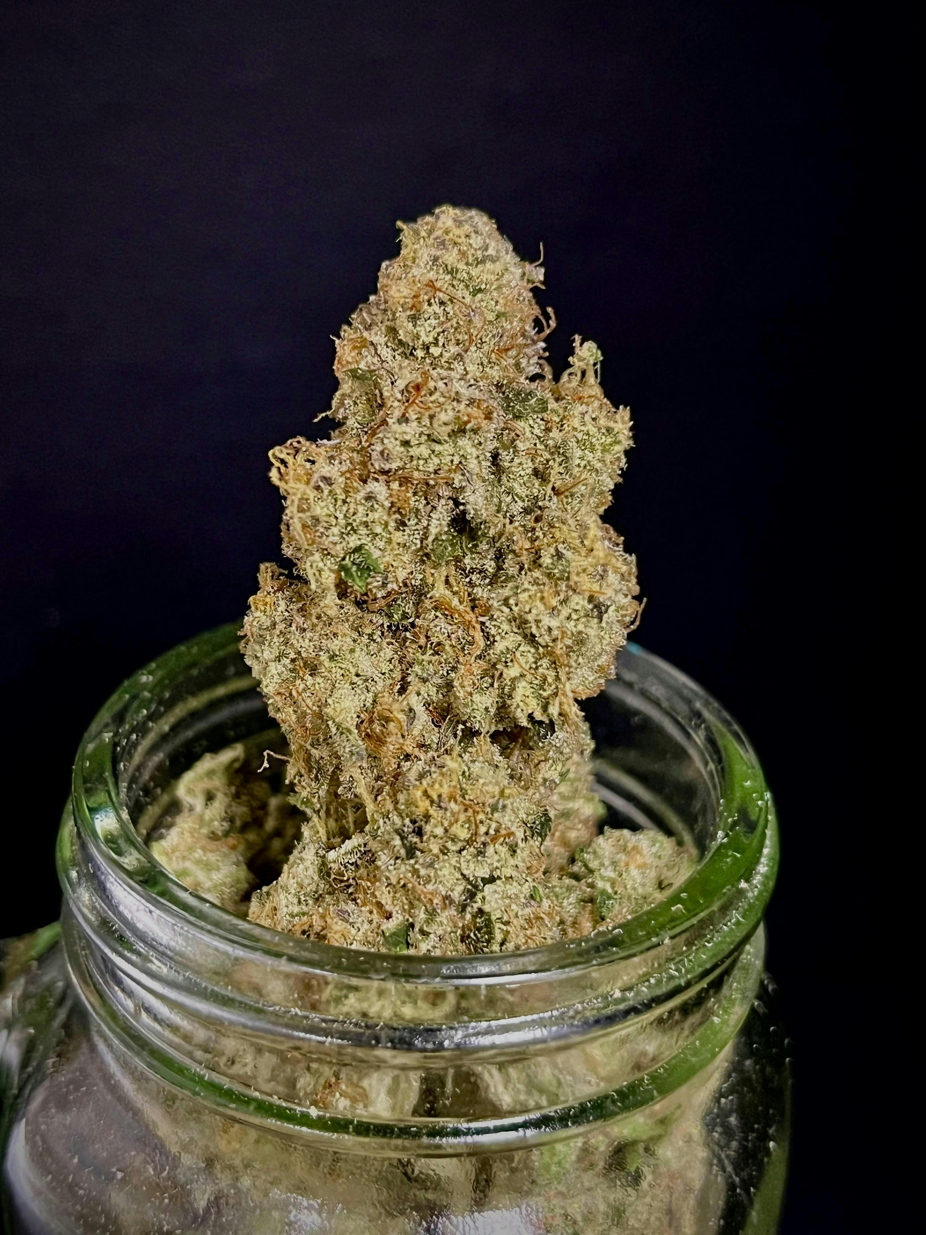 Super Silver Haze - 3.5g Flower by Bloom County