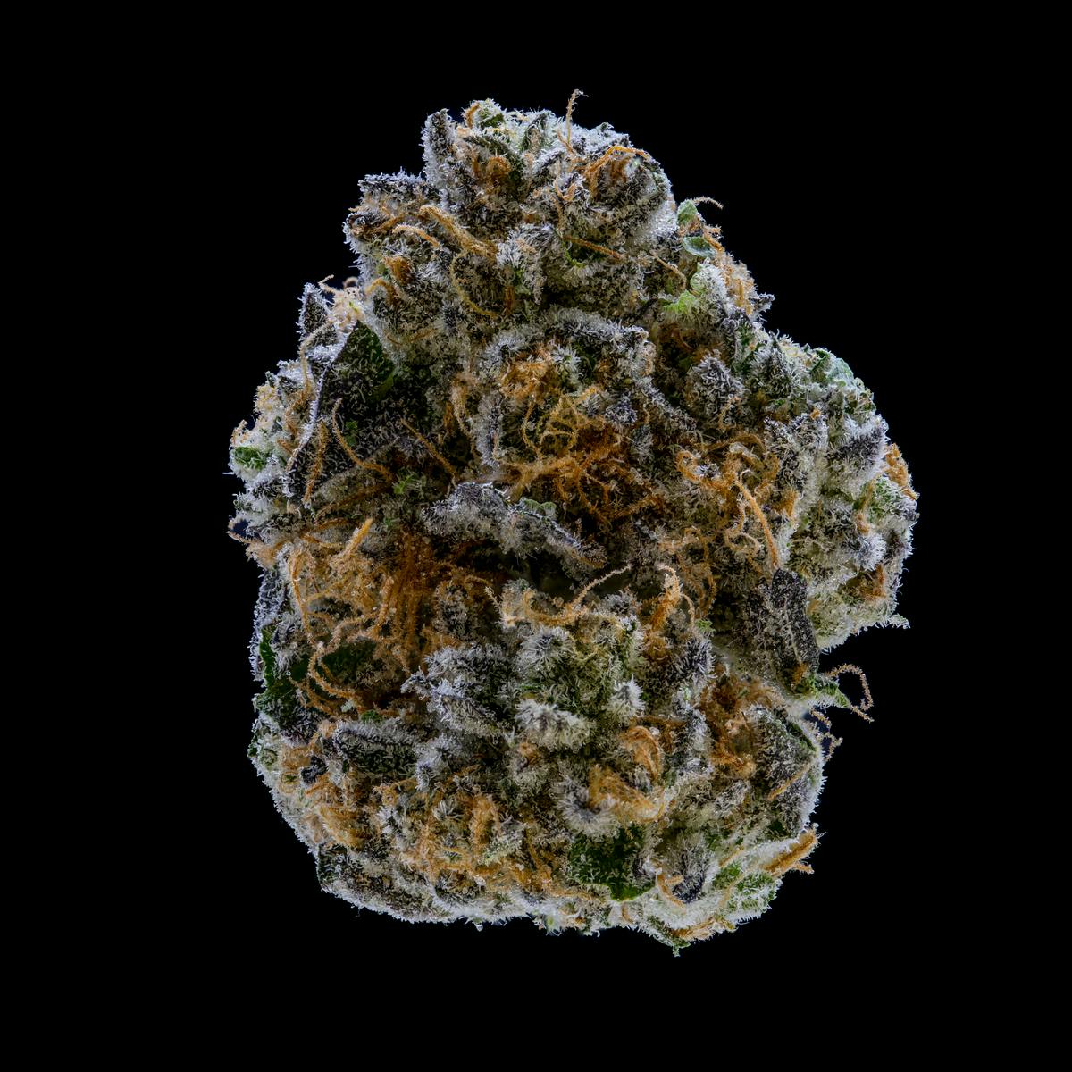 Oishii by JAR Cannabis Co. at JAR Cannabis Co. Dispensary - Carrabassett (Sugarloaf)
