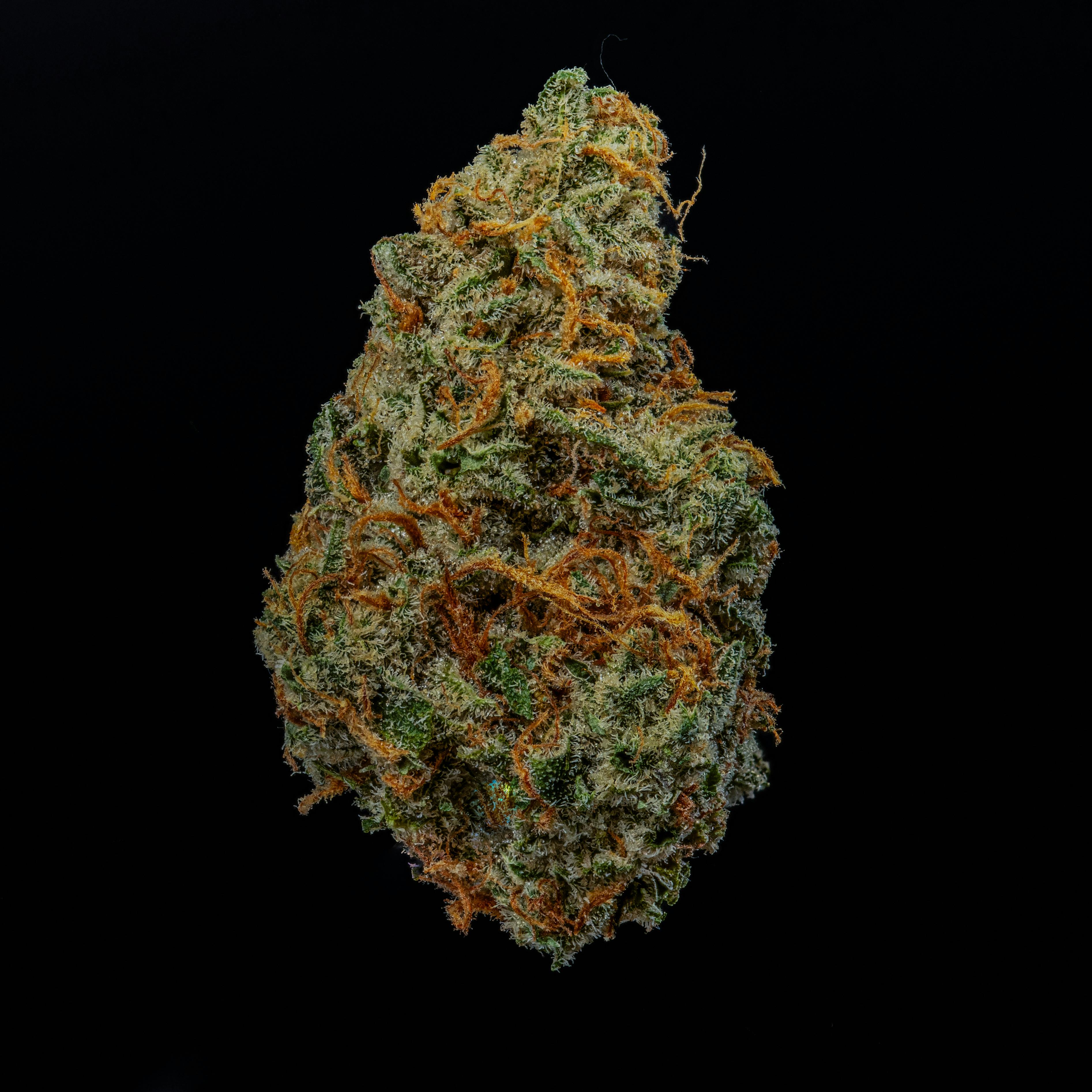 Golden Goat by JAR Cannabis Co. at JAR Cannabis Co. Dispensary - Carrabassett (Sugarloaf)