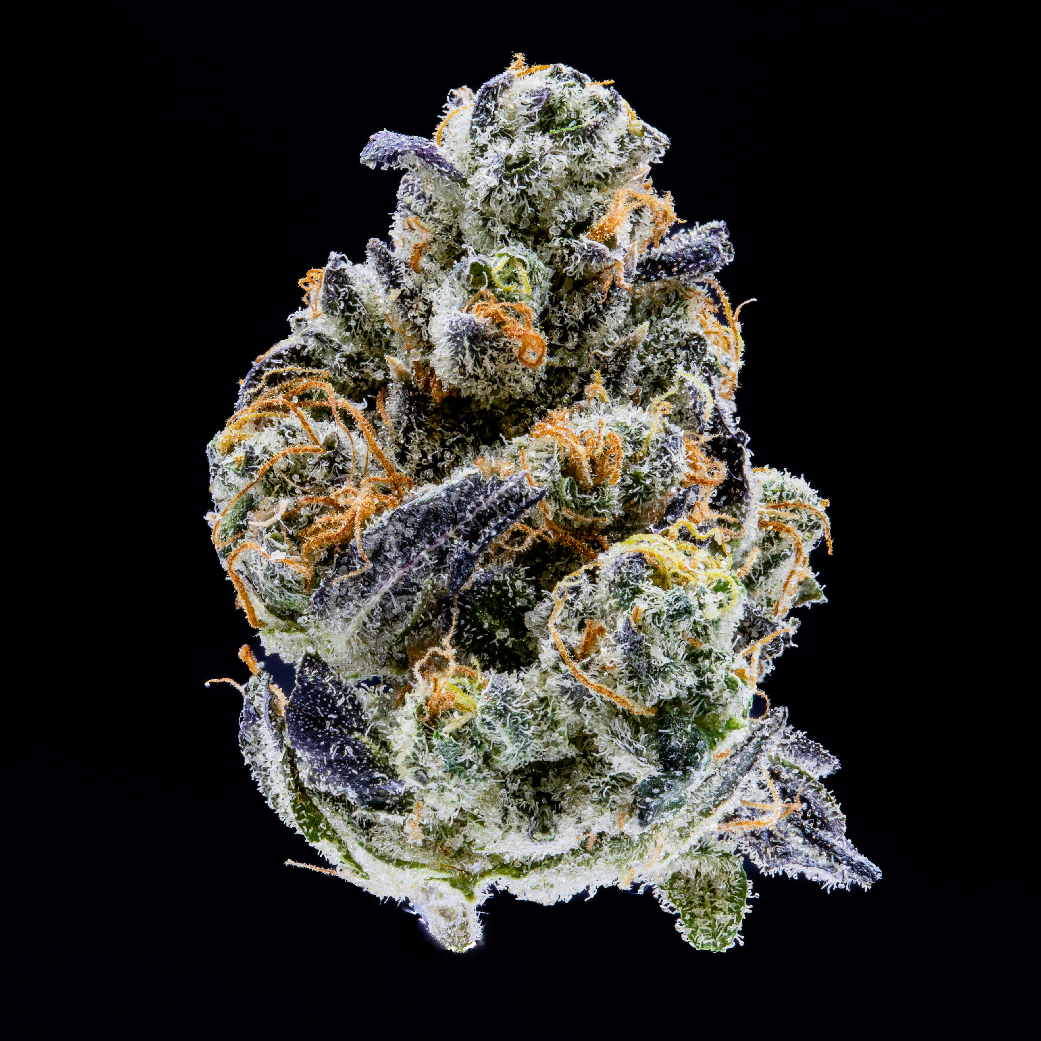 Sour Sniffits by JAR Cannabis Co. by JAR Cannabis Co.
