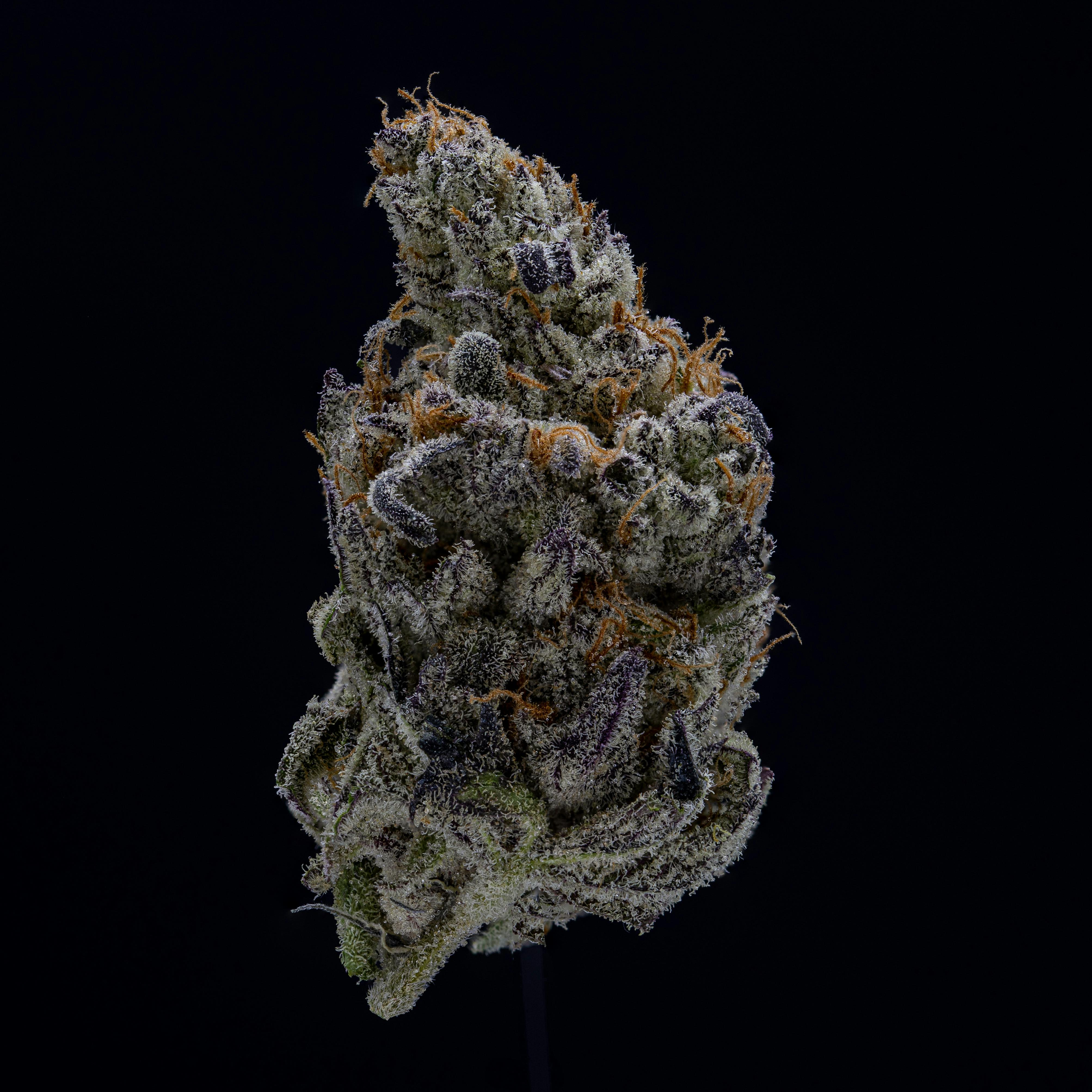 Devil Driver by JAR Cannabis Co. by JAR Cannabis Co.
