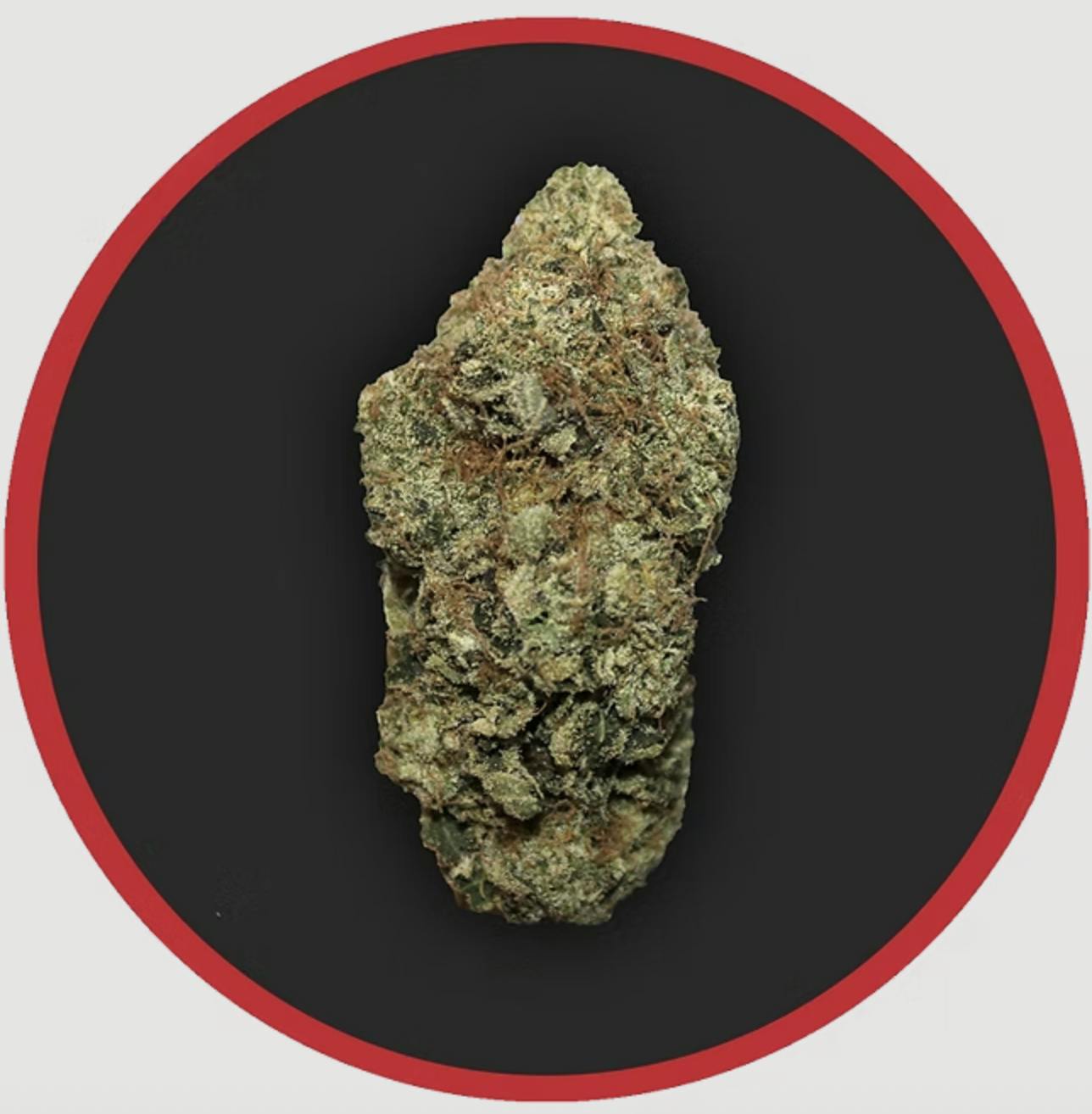 Robust | Tahiti Lime | Flower | 3.5G by Robust