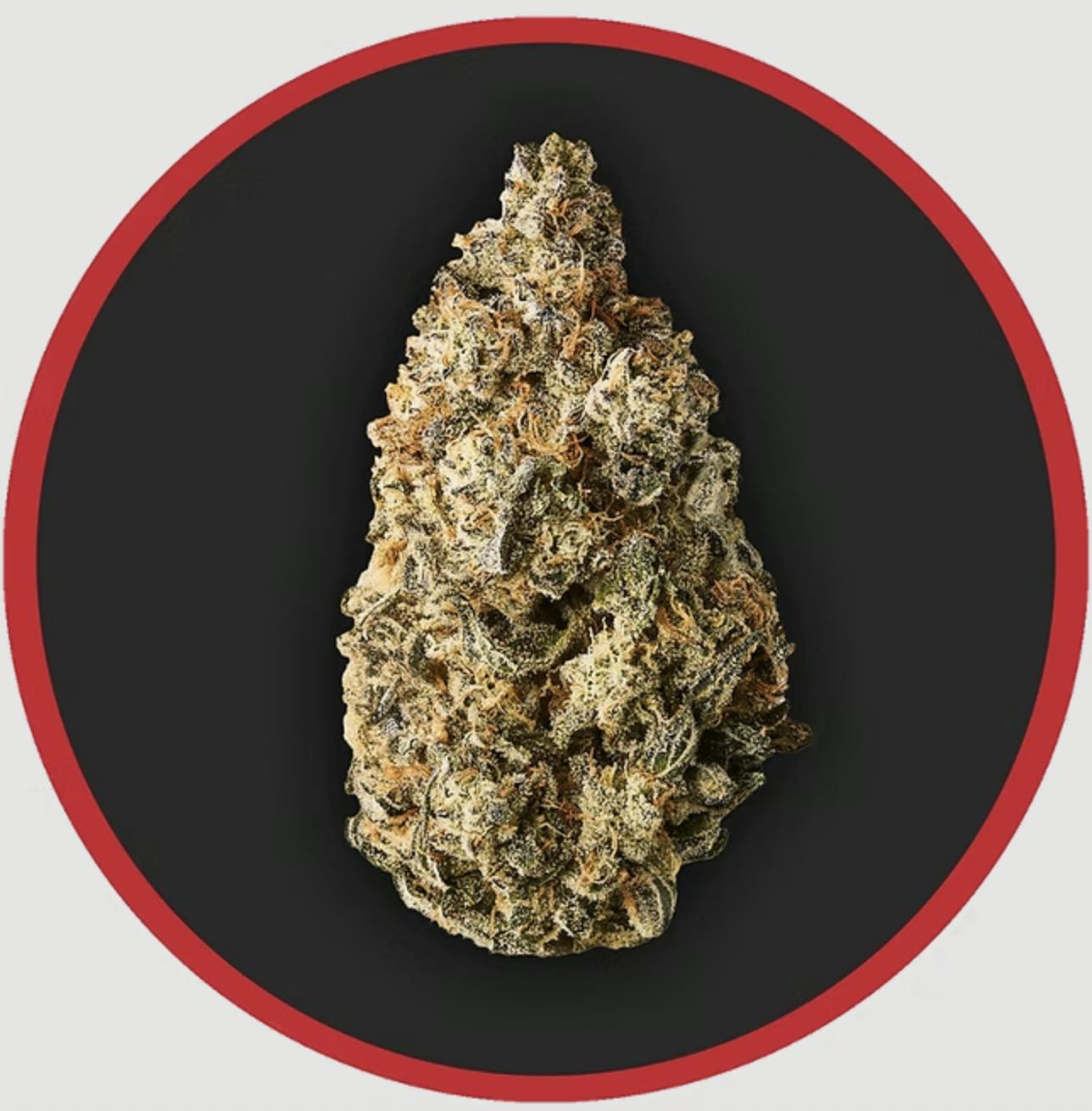 Robust | Hash Burger | Flower | 1G