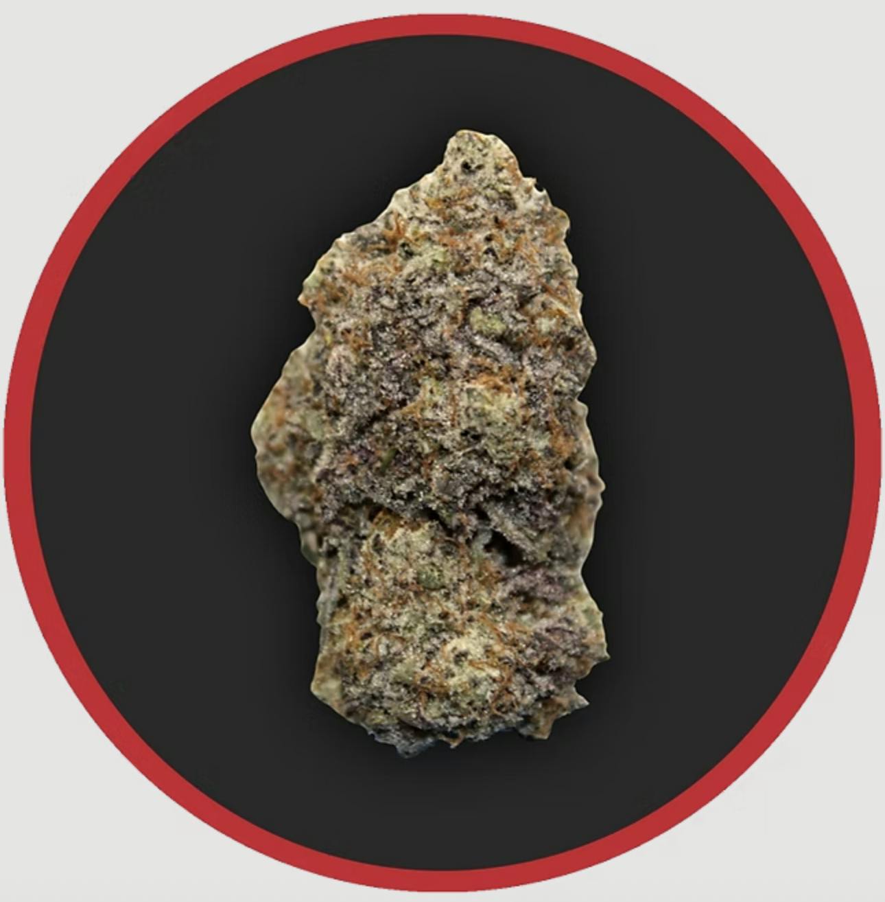 Robust | Payton's Pie | Flower | 3.5G