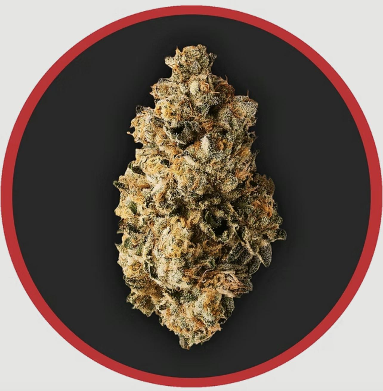 Robust | Scented Marker #2 | Flower | 3.5G