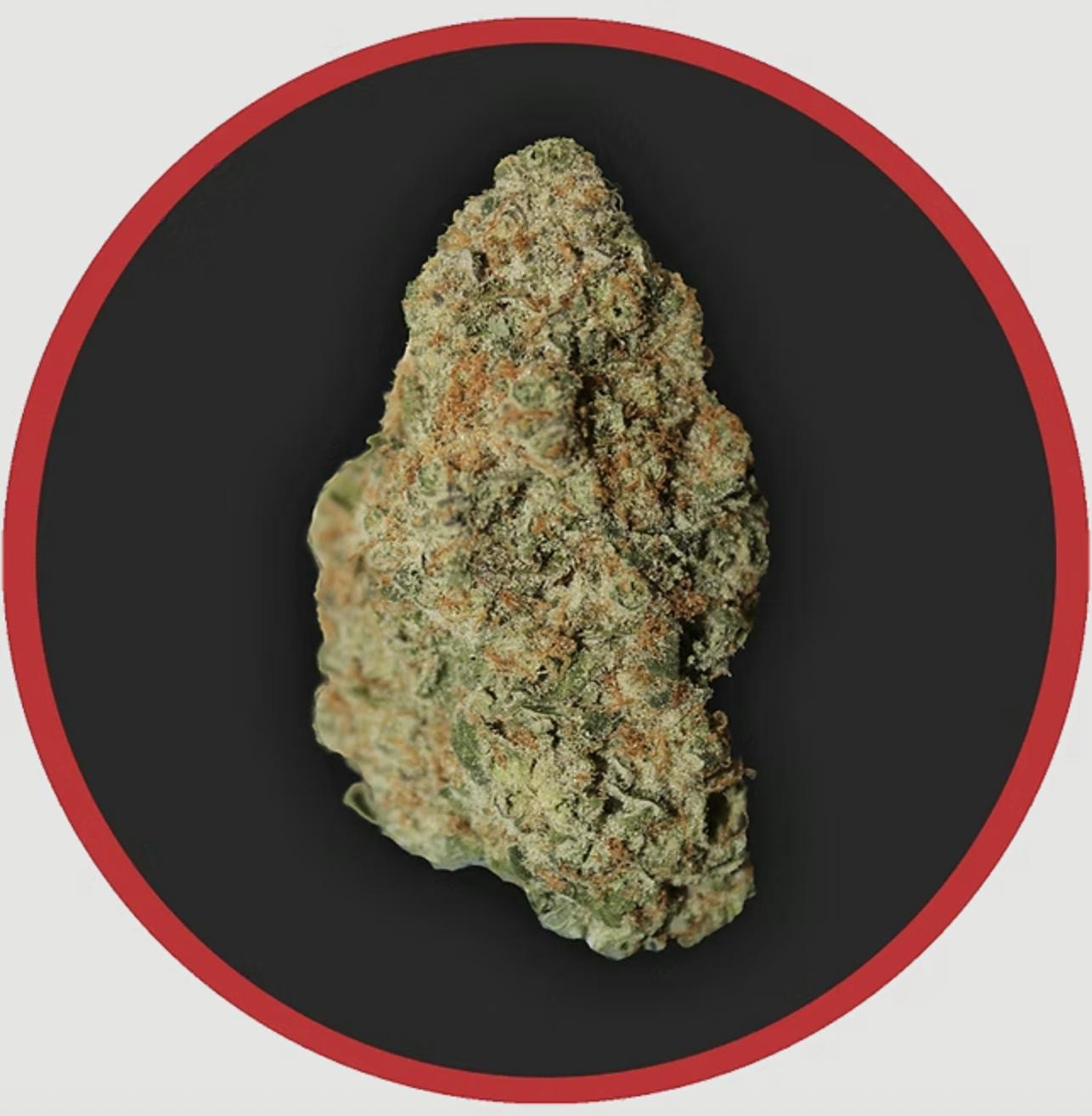 Robust | Pineapple Breeze | Flower | 3.5G