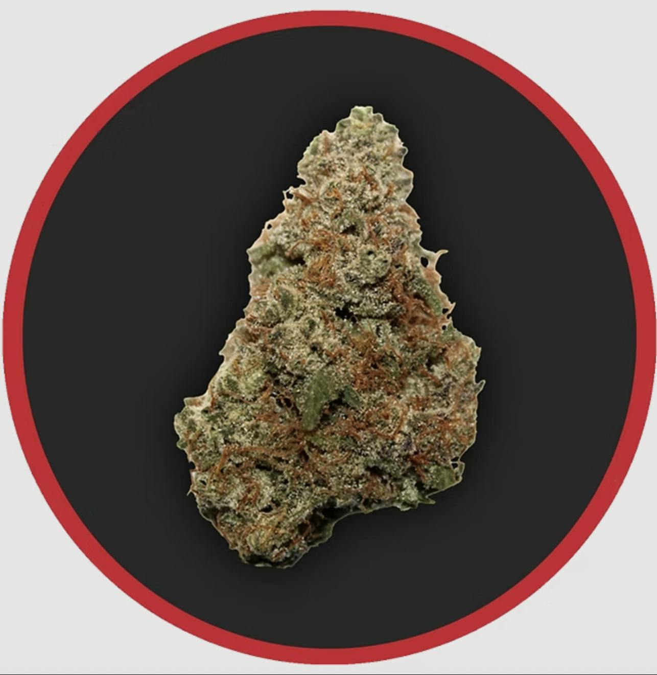 Robust | Raspberry Parfait | Flower | 3.5G by Robust