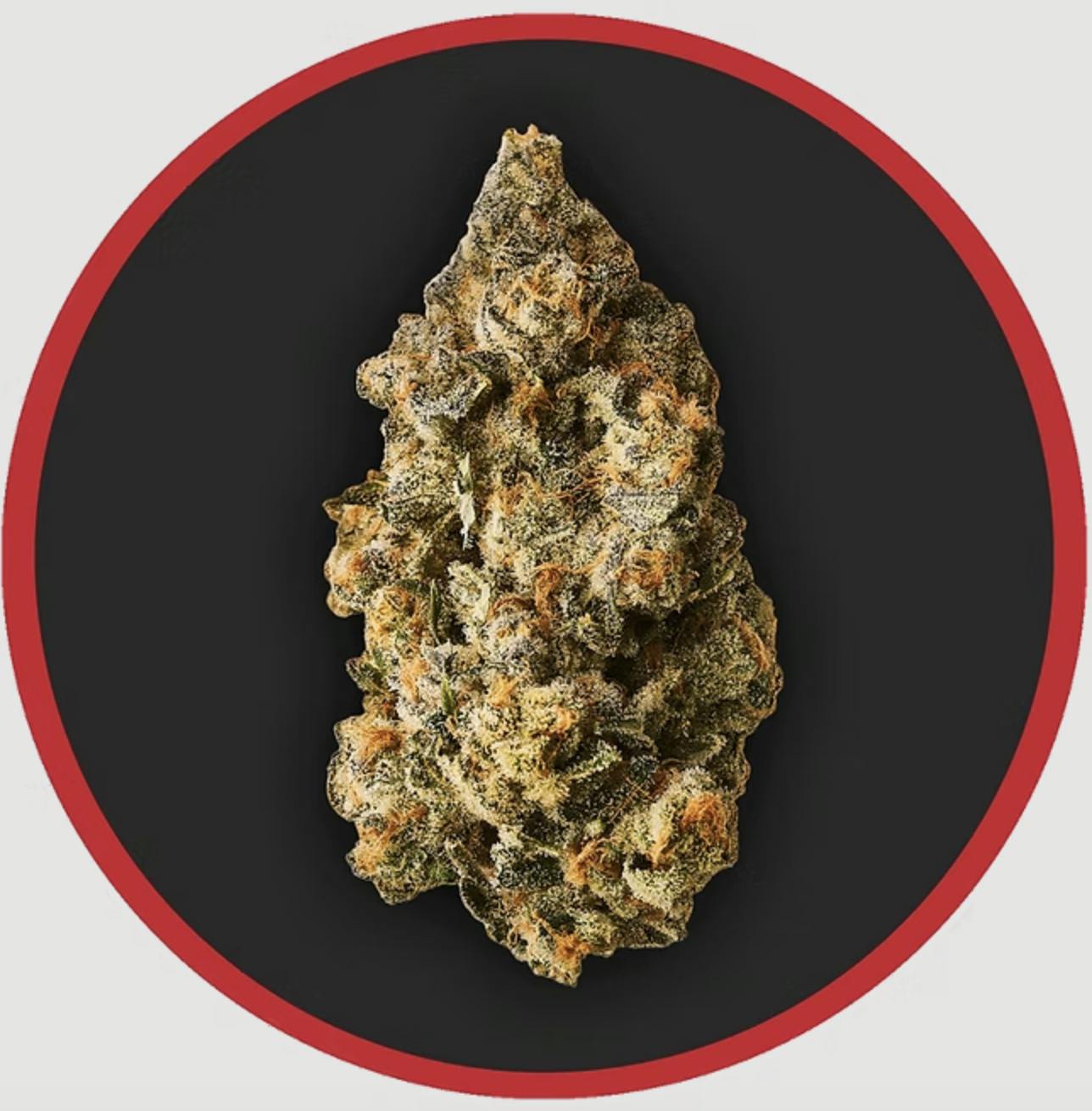 Robust | Scented Marker #1 | Flower | 3.5G