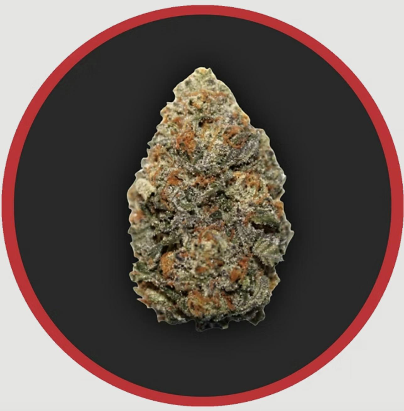 Robust | Orange Runtz | Flower | 3.5G