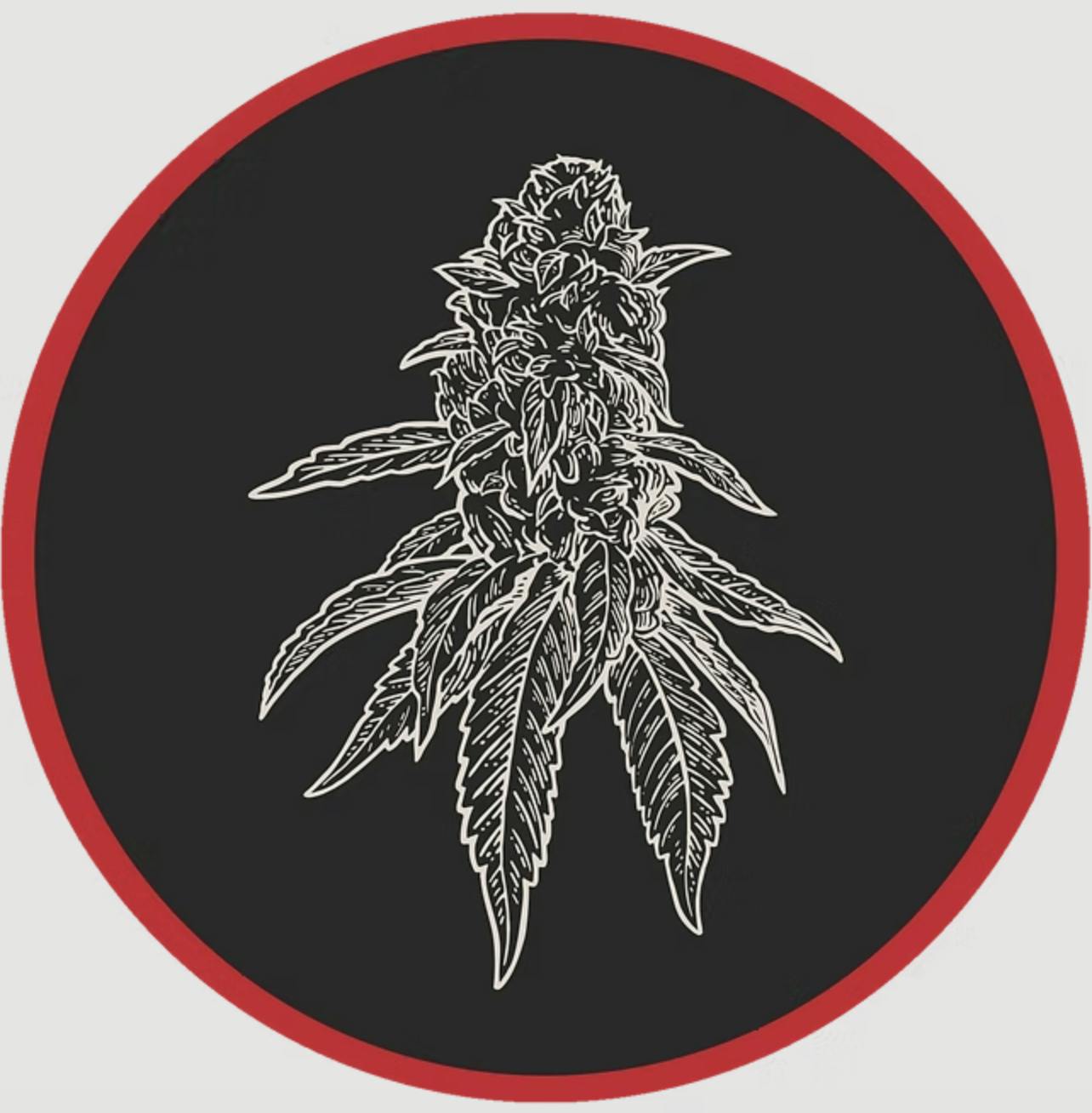 Robust | Grape Pie | Flower | 3.5G by Robust