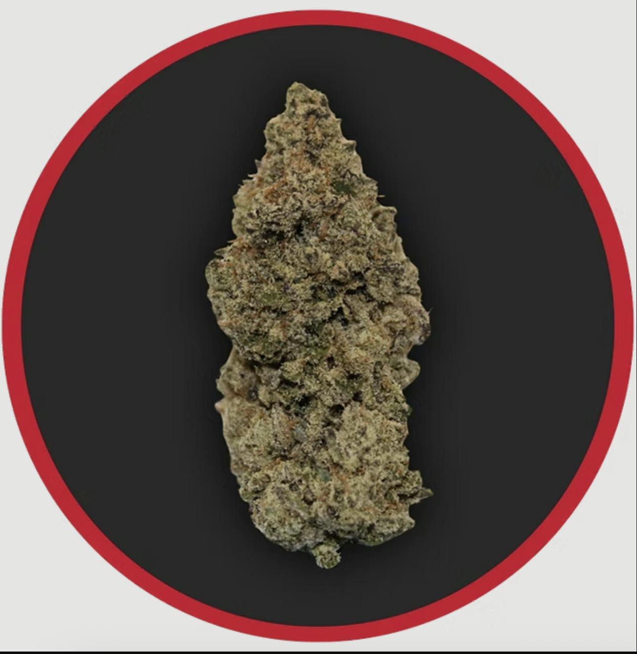 Robust | Apples & Bananas | Flower | 1G