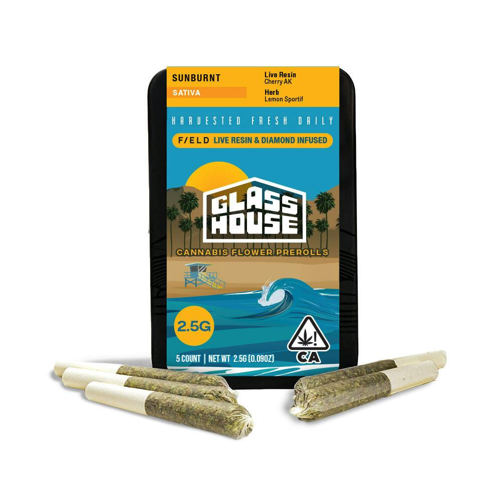 Glass House Farms — Sunburnt Ghf X Field