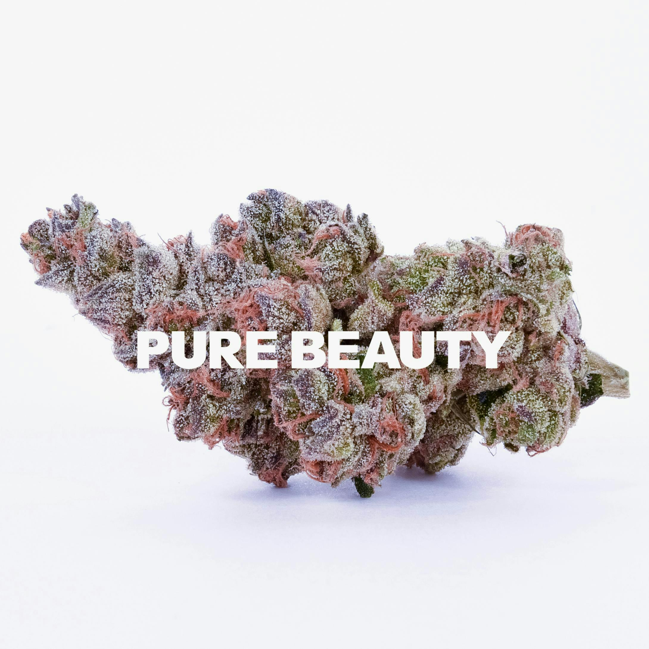 Apples & Bananas | 3.5g Indoor by Pure Beauty