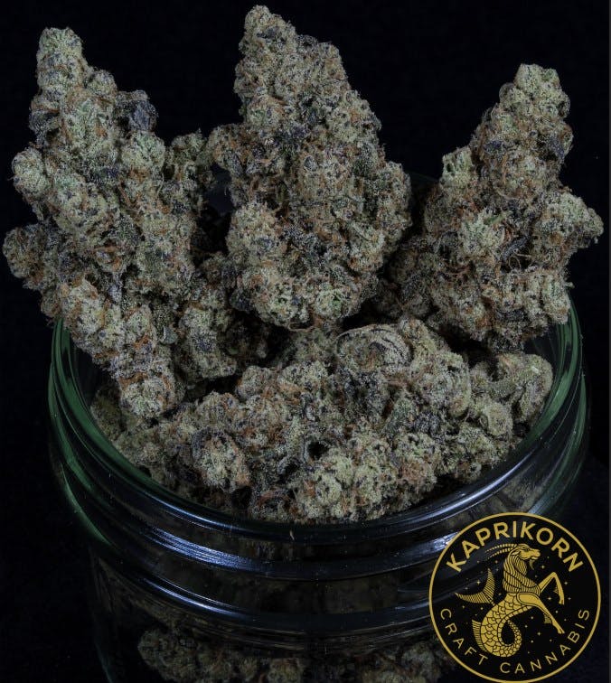 Trapzilla - A Buds 25.06.16 - Kaprikorn