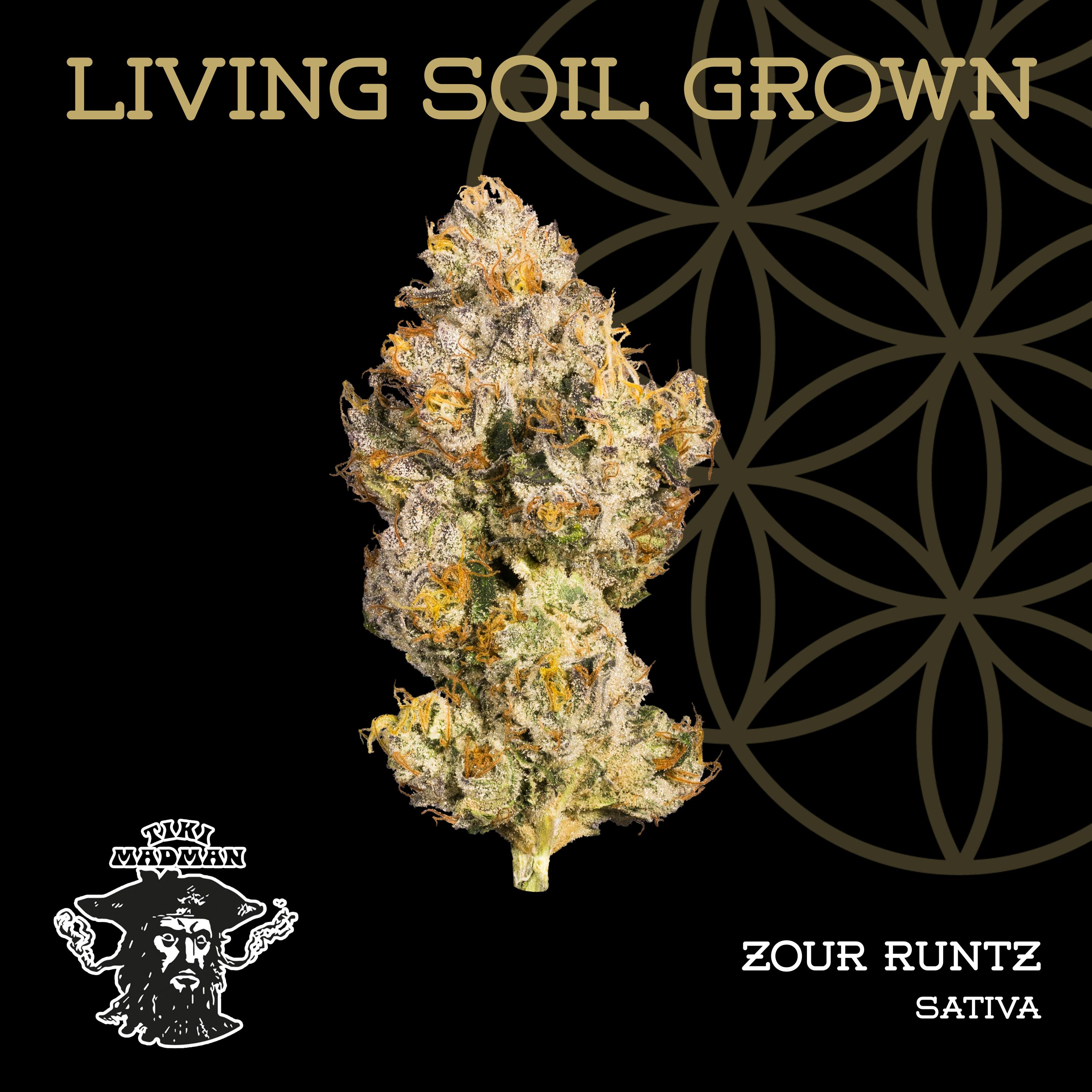 Zour Runtz | Bulk Deli | Living Soil by Flower of Life