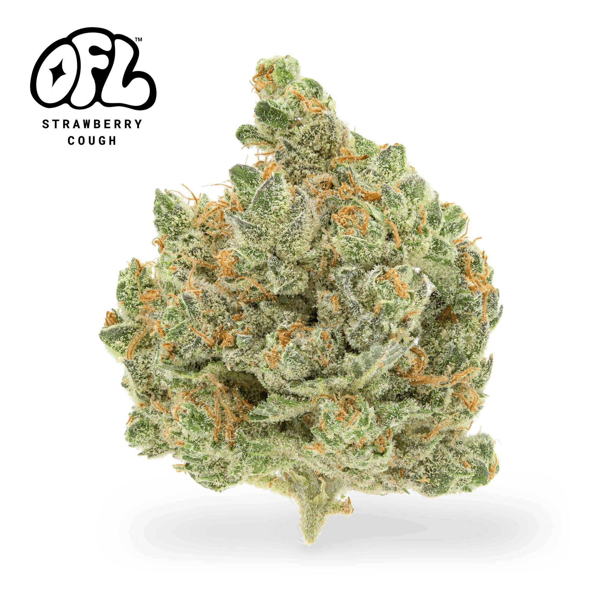 Y2K Series | Strawberry Cough | Big Buds | 3.5g