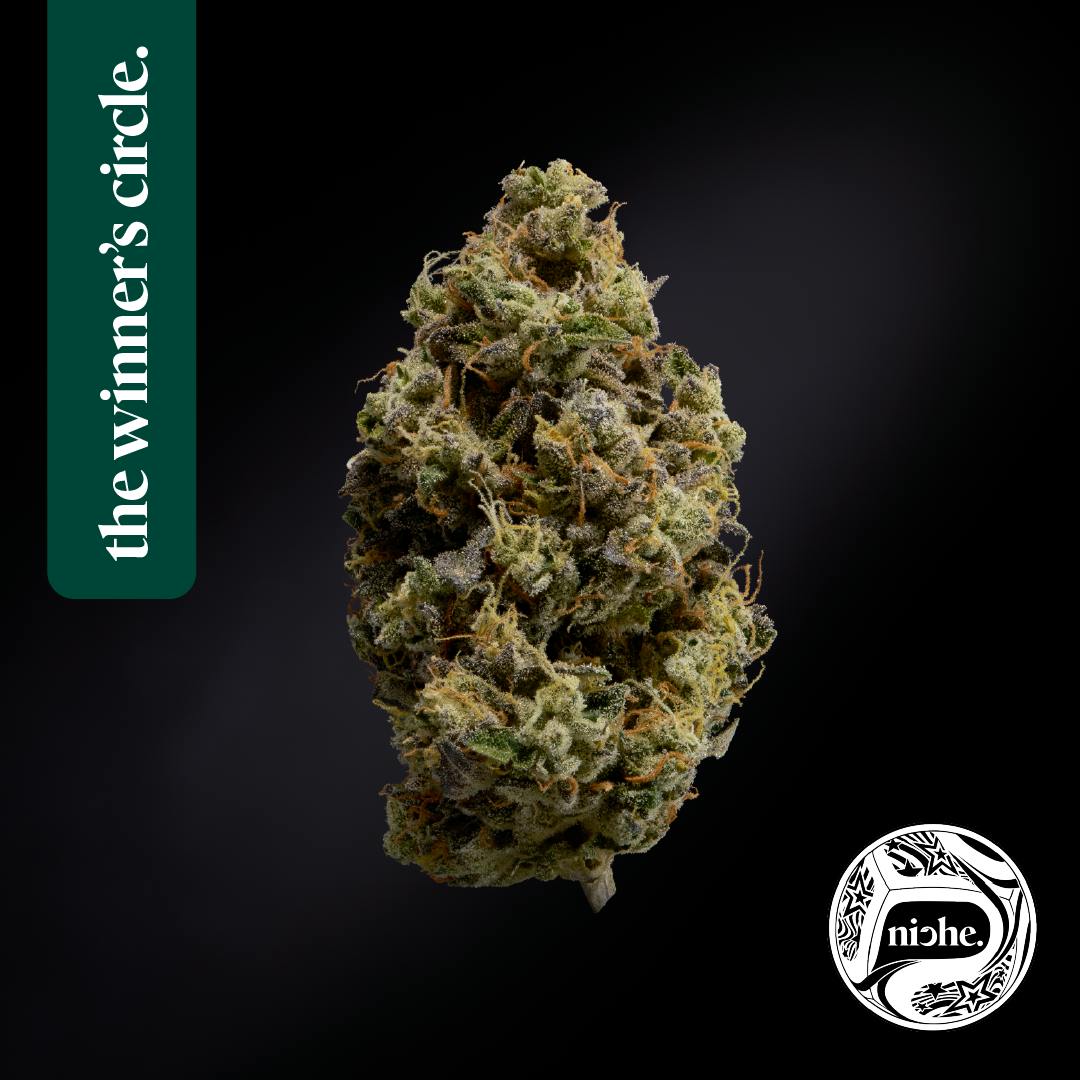 Oishii III | 3.5g by Niche