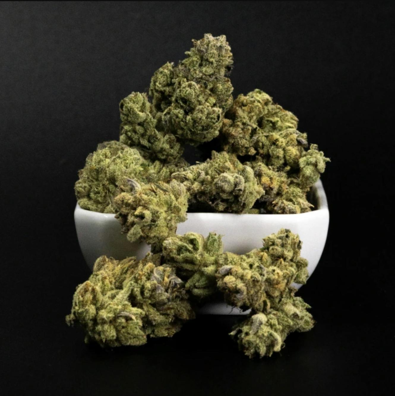 Teleology Bulk Flower Blockberry