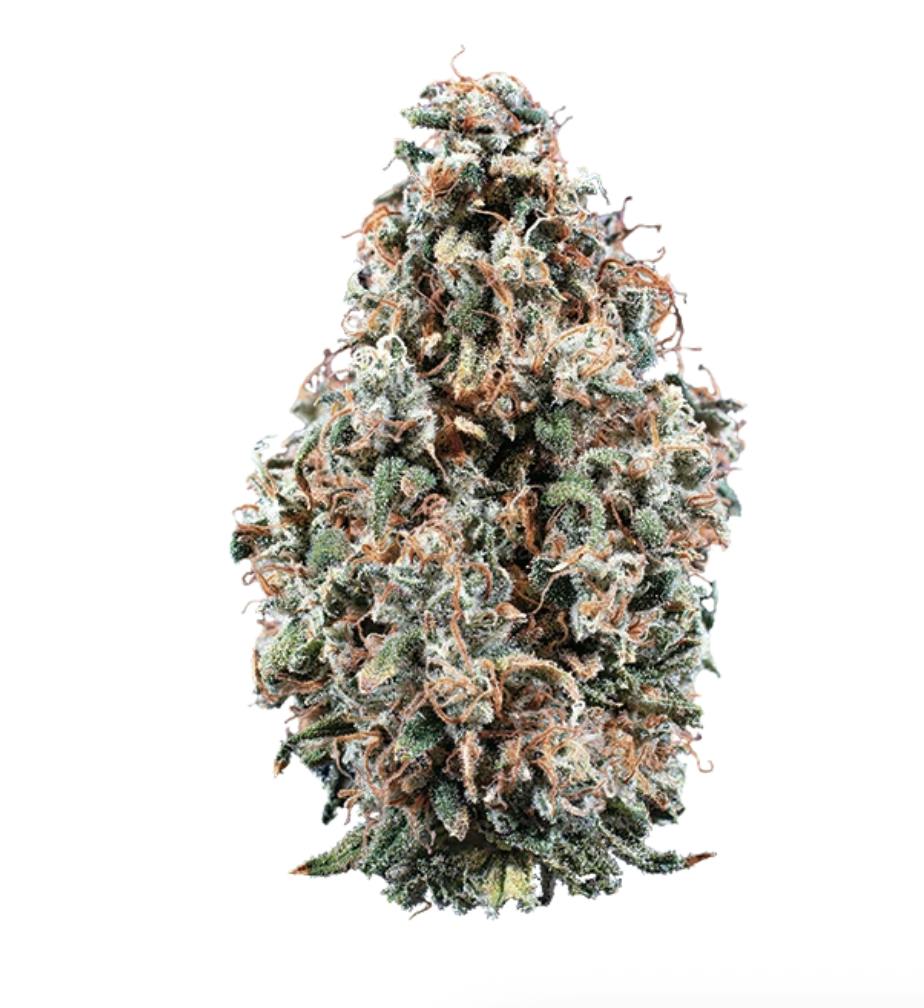 Woodward | Cherry Jungle | Flower | 5.66G