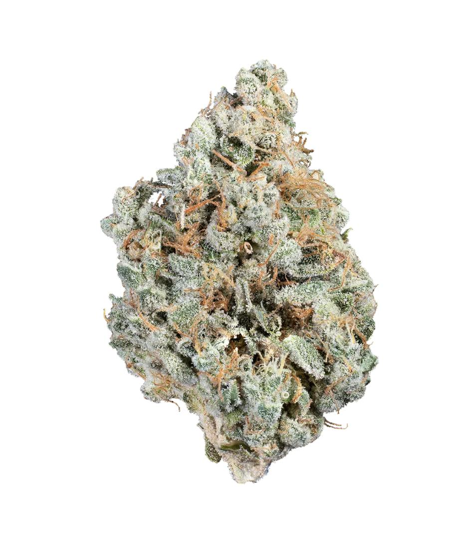 Woodward | Hot Zawtz | Flower | 5.66G - Woodward Fine Cannabis