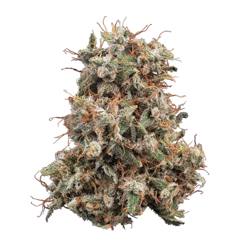 Woodward | Banana MAC | Flower | 14.15G - Woodward Fine Cannabis