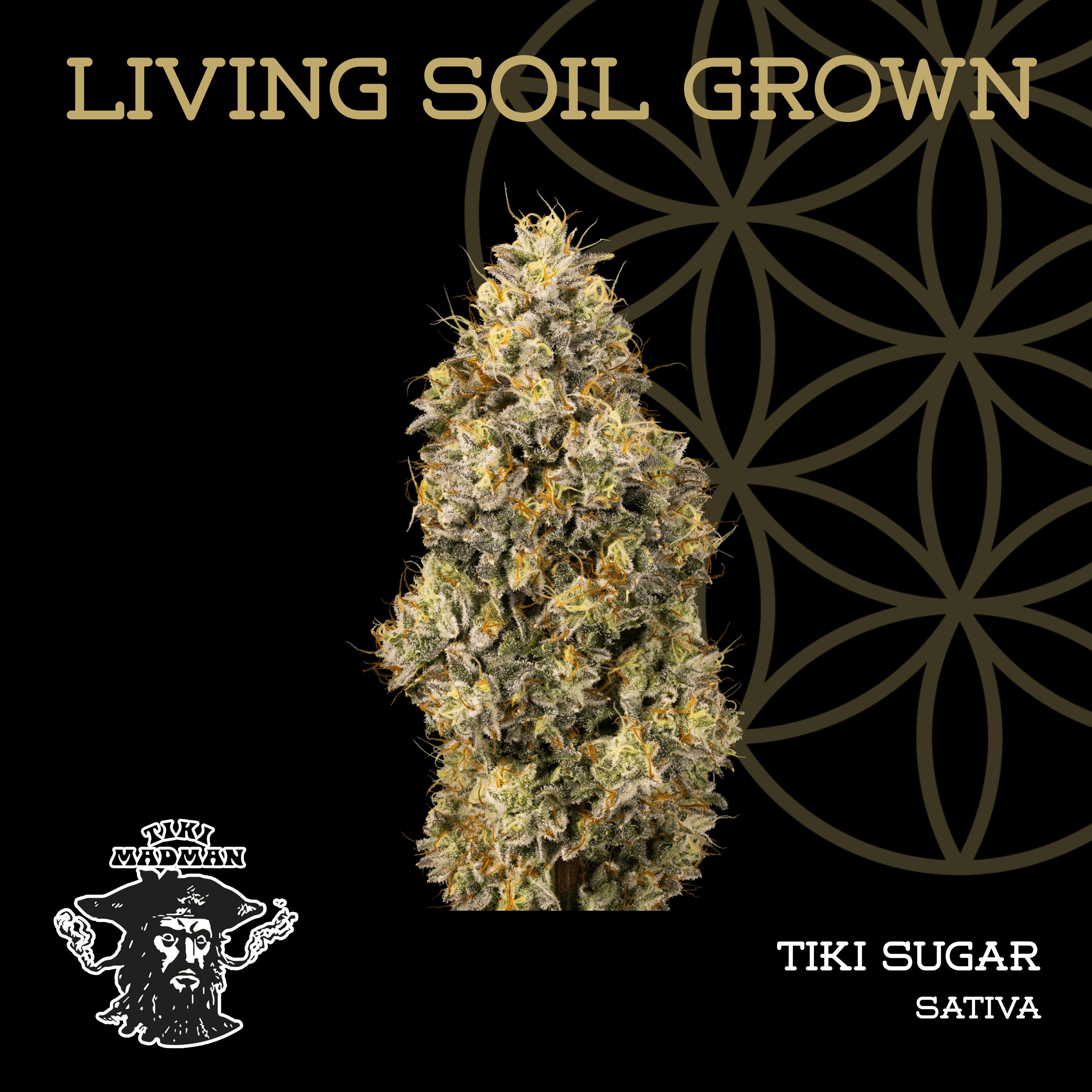 Tiki Sugar | Bulk Deli | Living Soil by Flower of Life